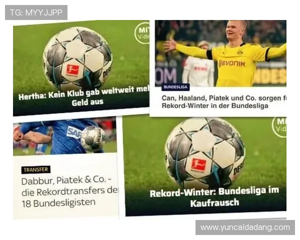 德甲转会窗口分析：各队引援策略与竞争力变化